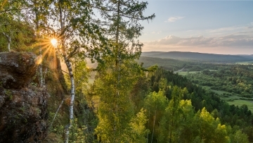 Forest, Russia (Irkutsk)